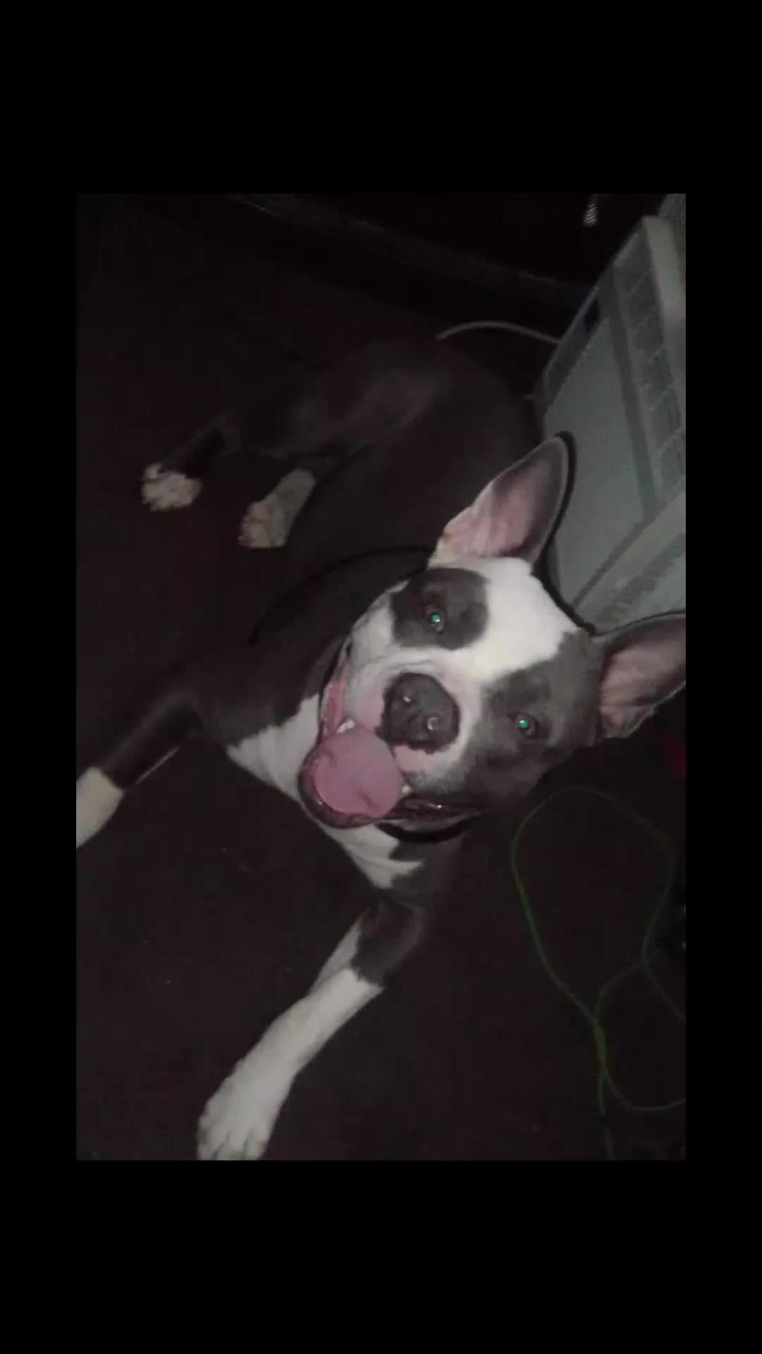@17RAZOR08
