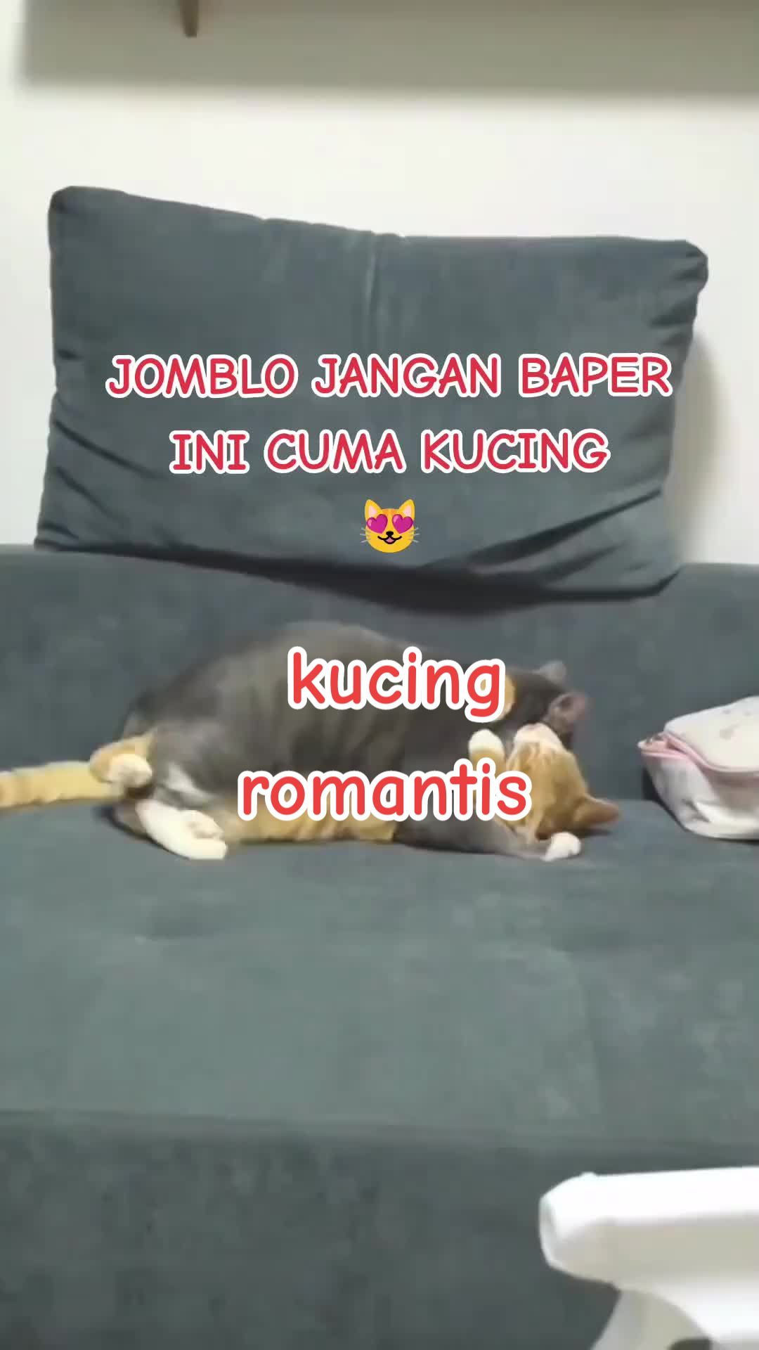 @Hari Raffa Raska