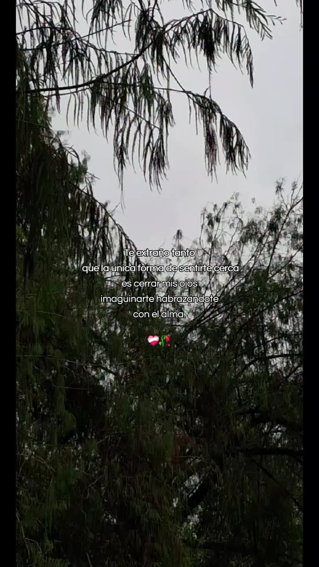 @🧔🏻♂️Leo,Gène👸🏻🦖