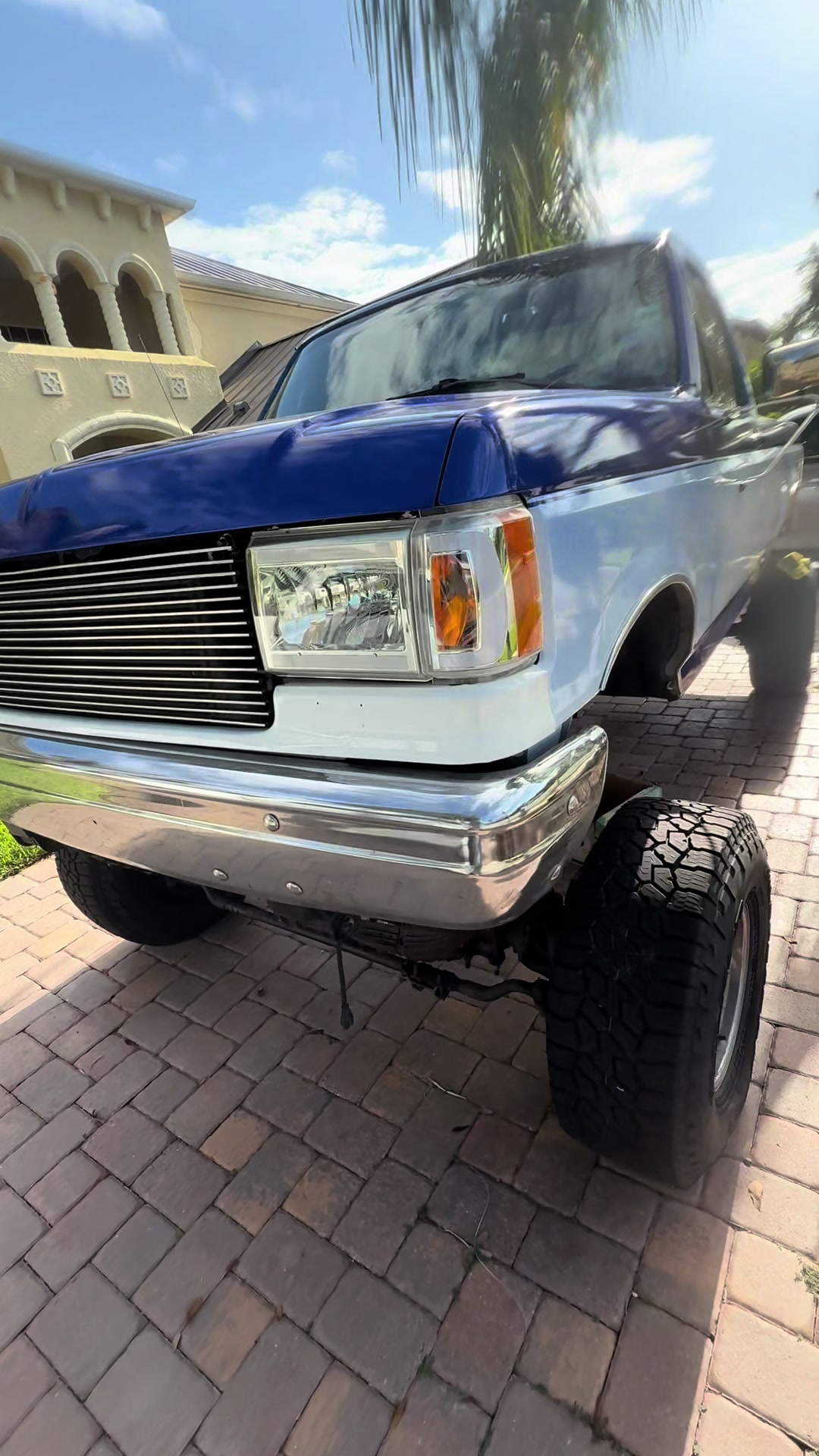 @that_blue_bricknose_7.3