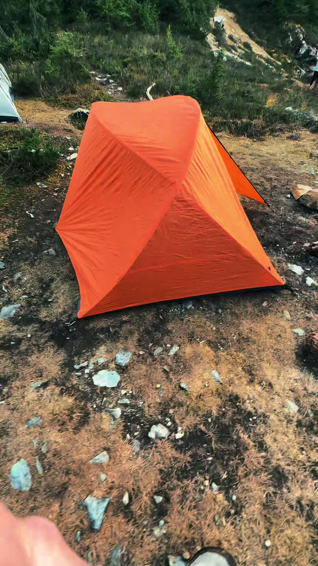 @🌲 James | WA 🏔️