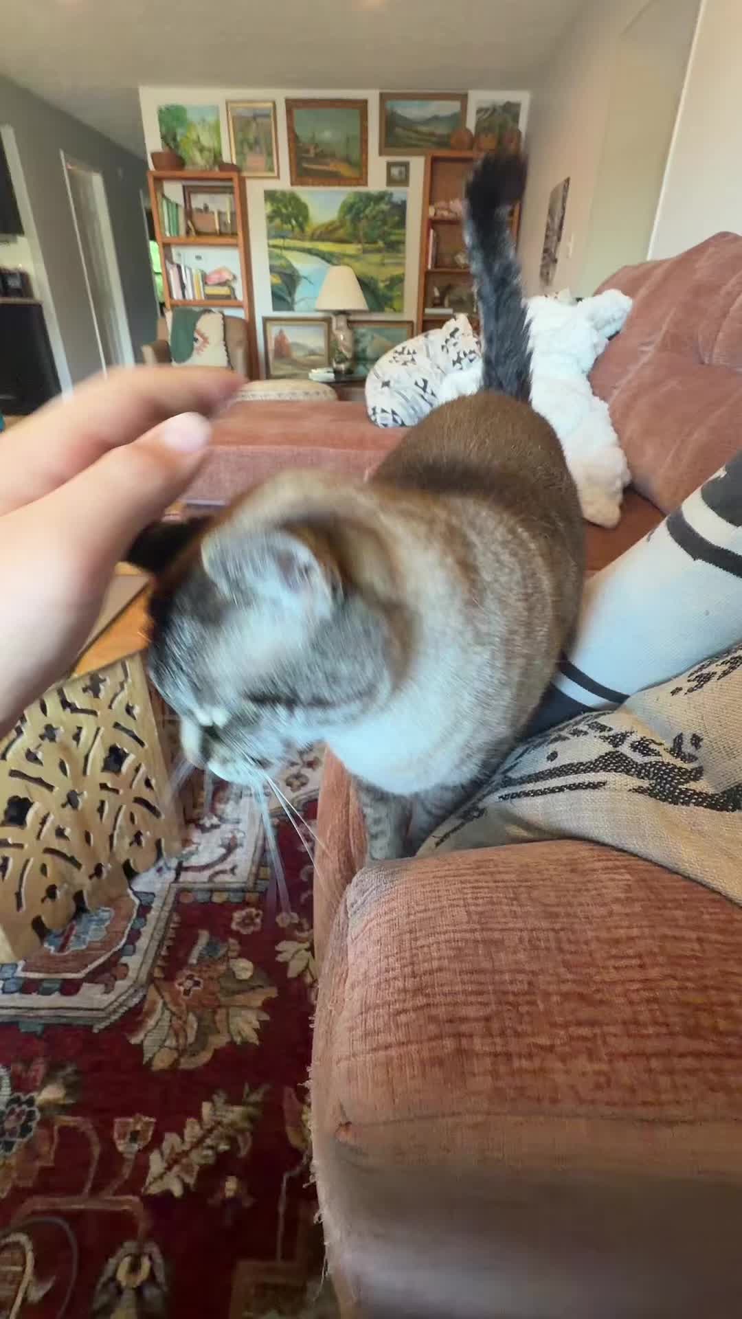 @PepperTheCat