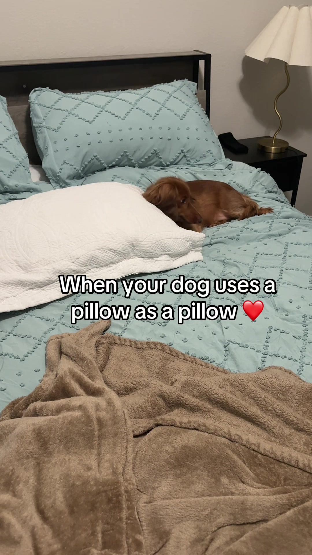 @Penny Pawkit