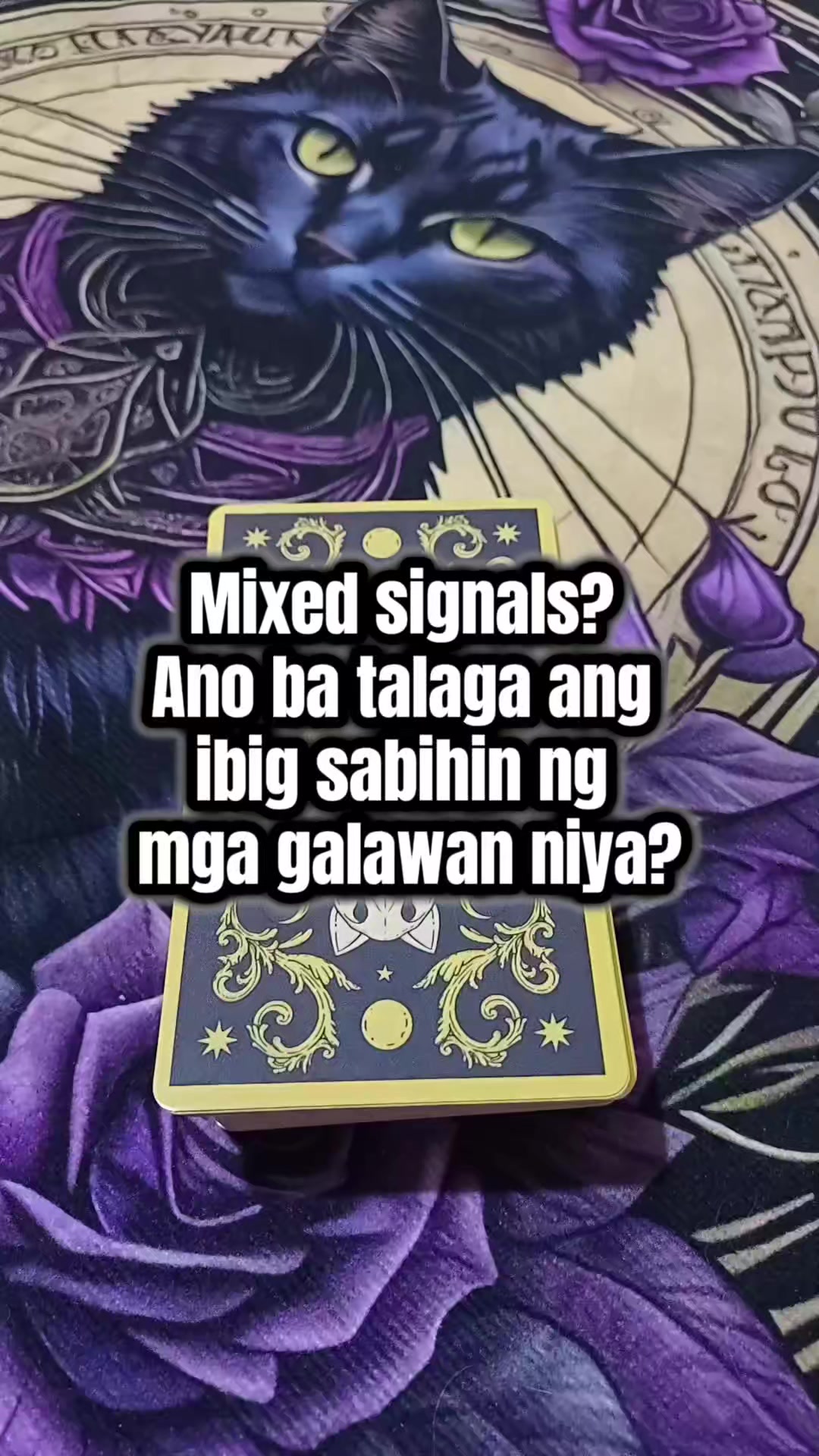 @Marie Tarot Reader