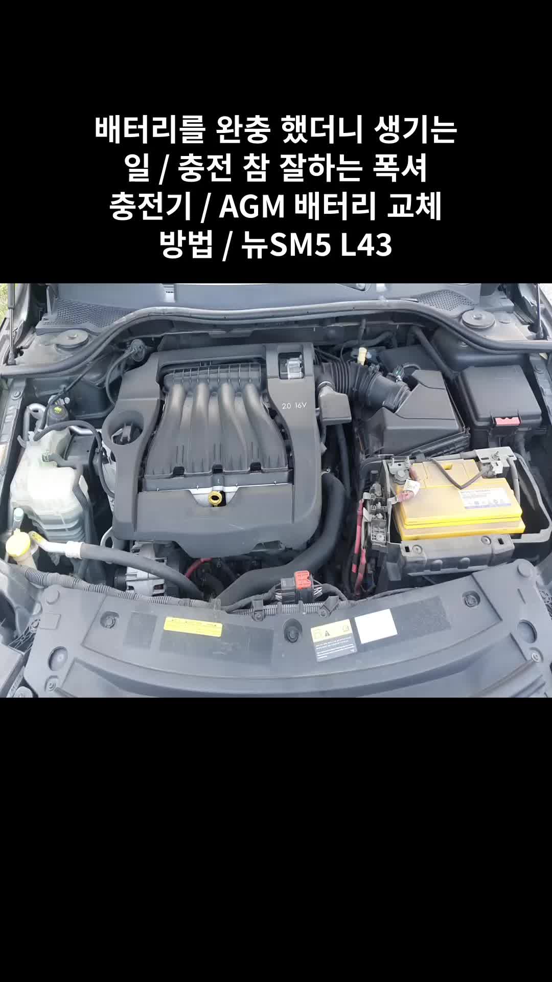 @귀여운친구