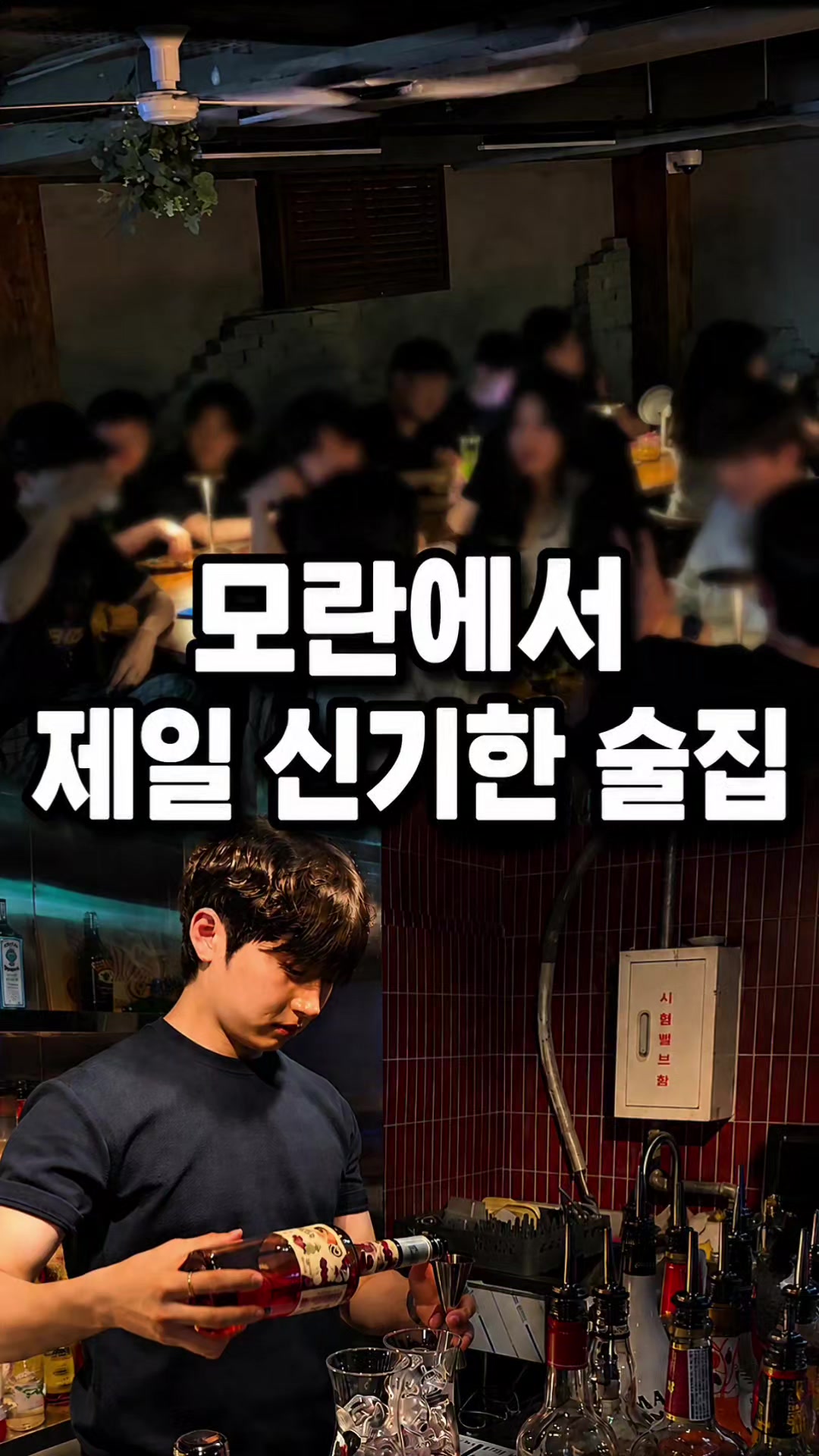 @해피문군