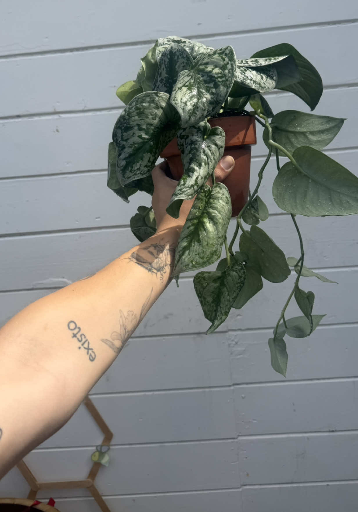 @5