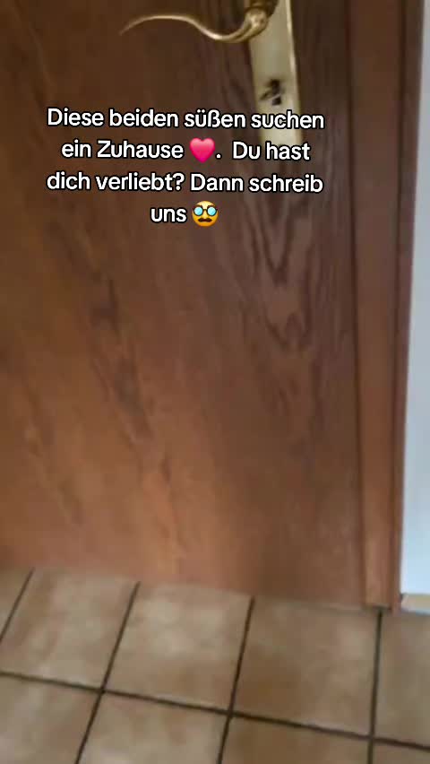 @DAS WUFF HAUS
