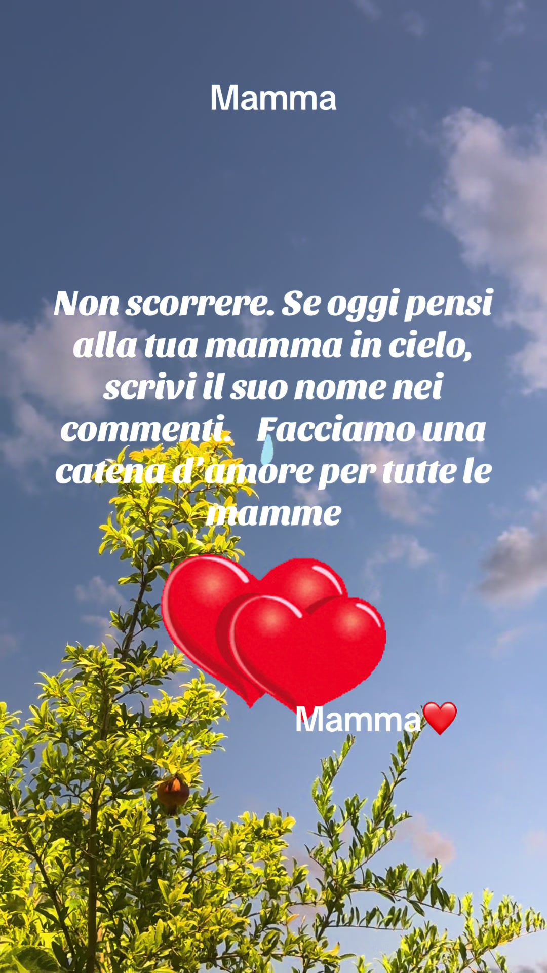 @annacuorvo877