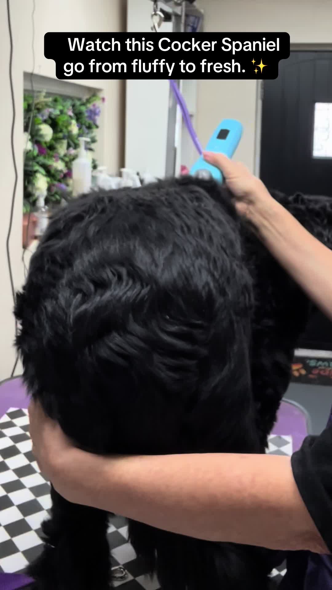 @Poochiepoosdoggrooming