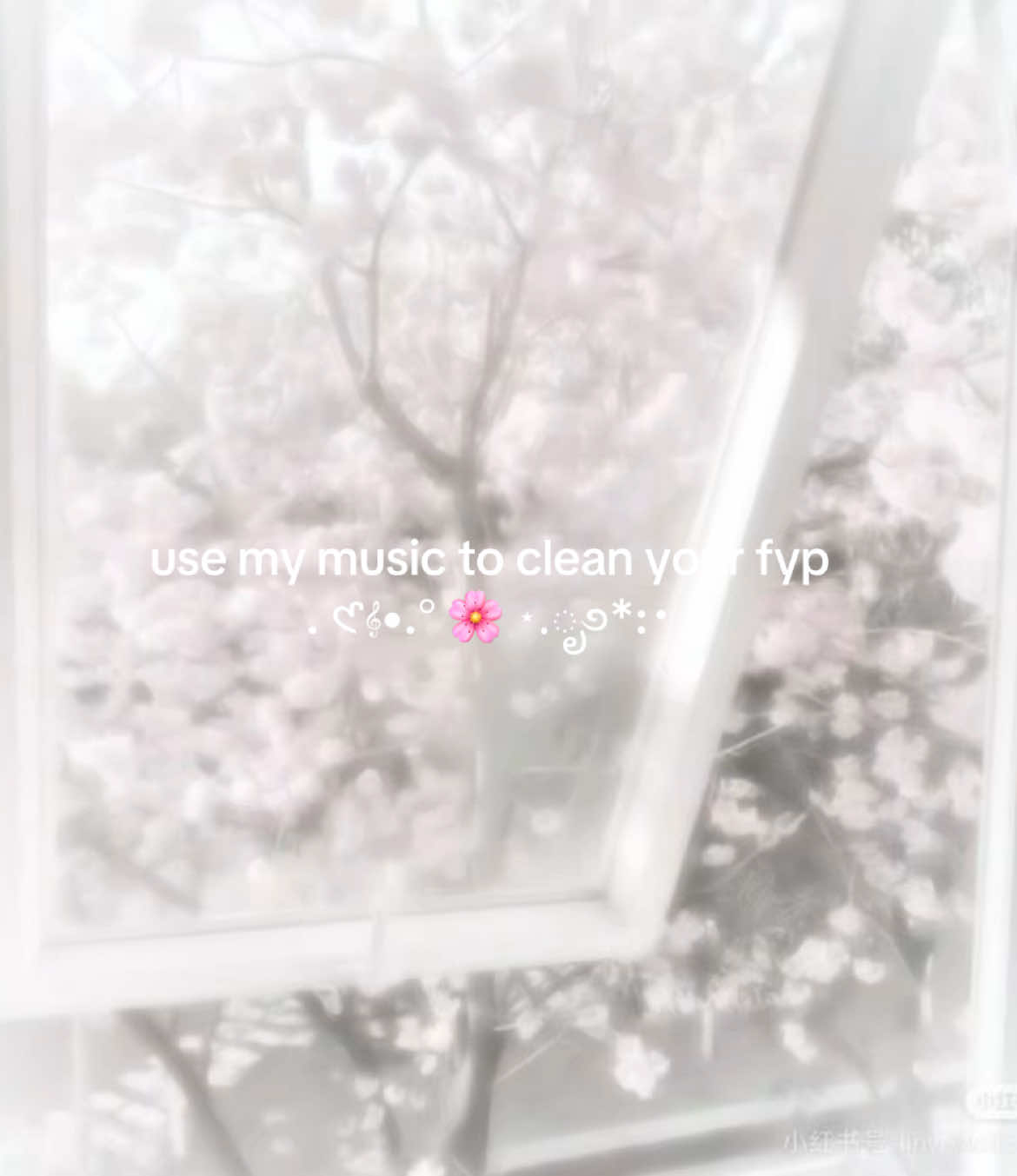 @Melody T
