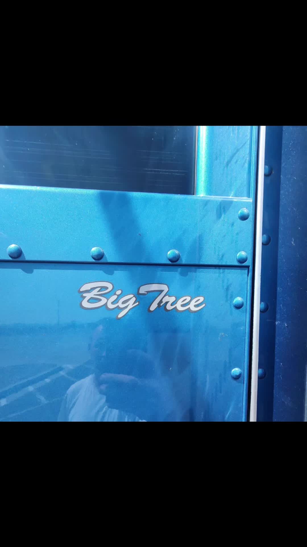 @BigTree 🌲