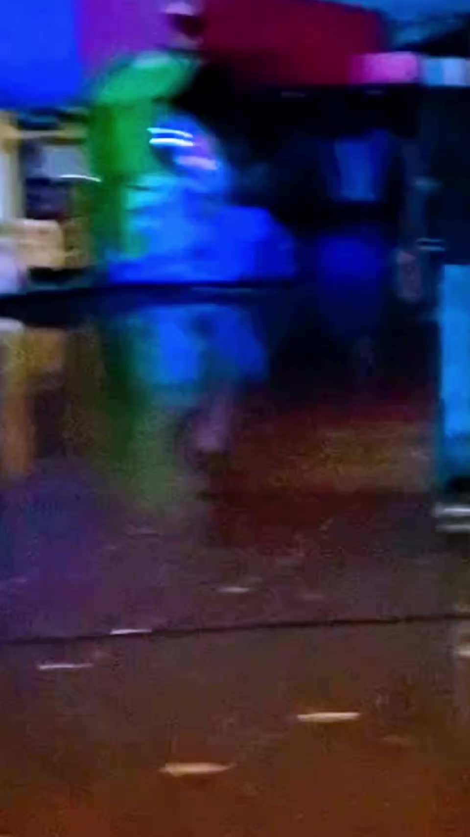 @Skatemasters