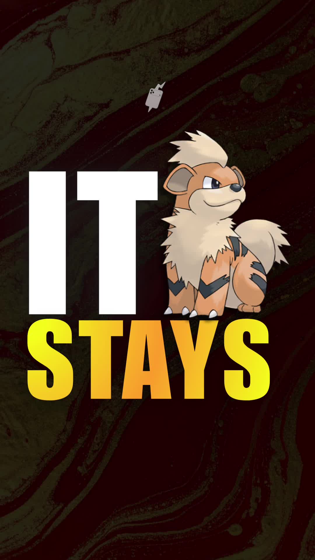 @Daily Pokemon
