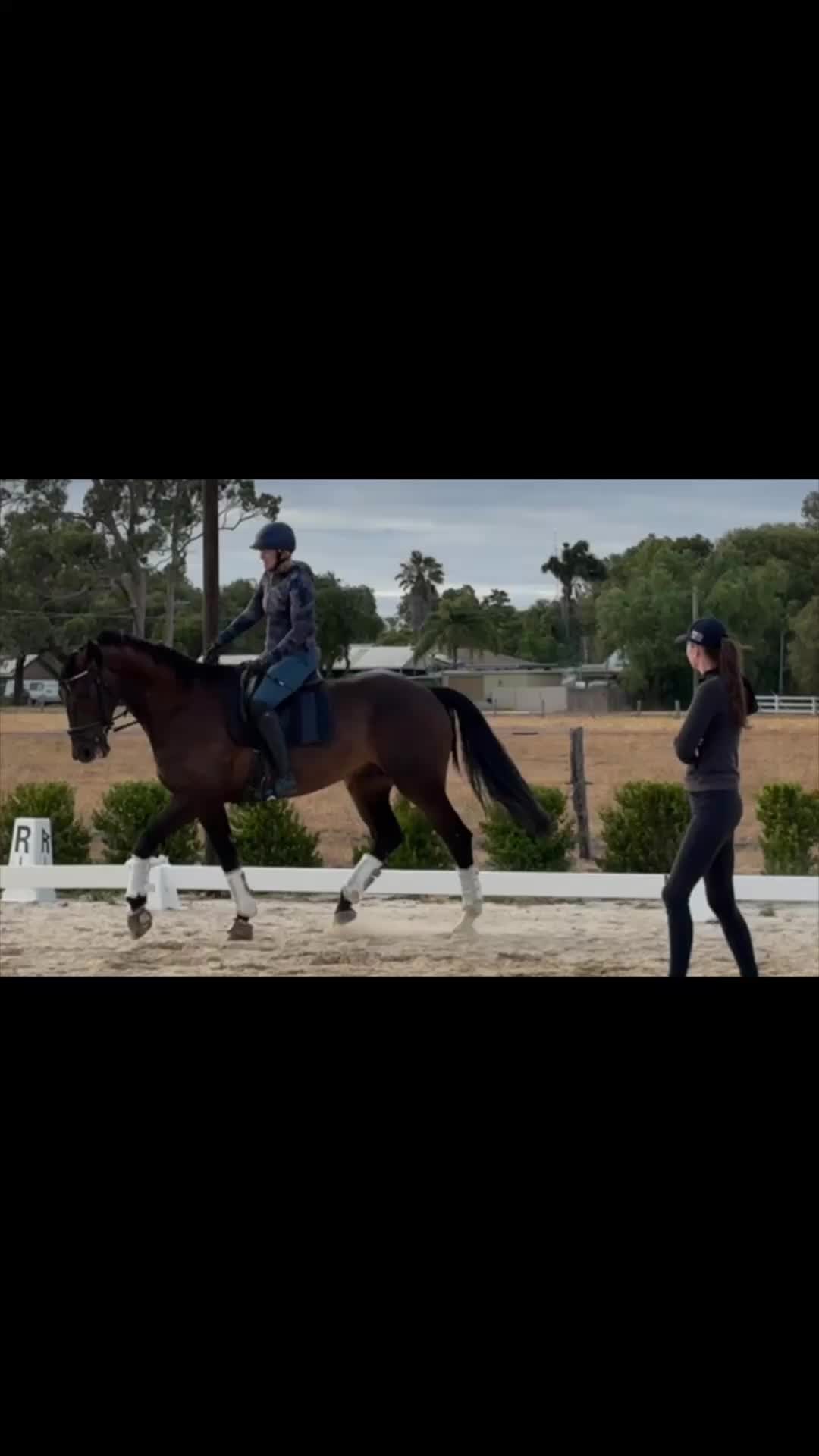 @Suzin- Para equestrian