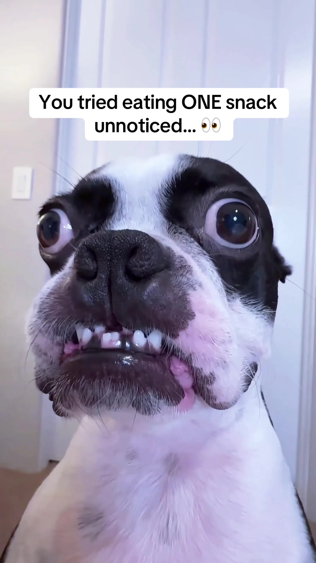 @WhenAshMetBowser