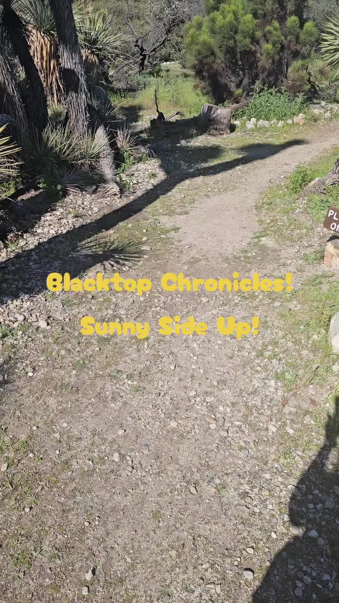 @AngelaWonderwmn