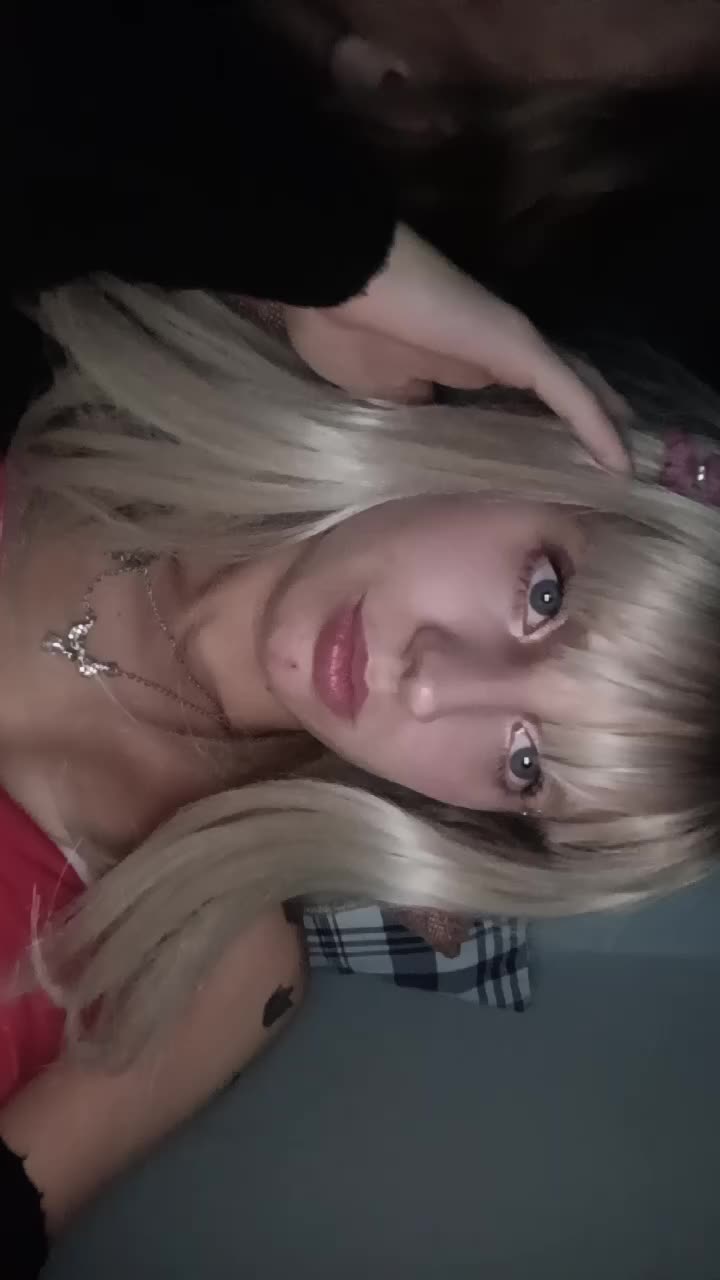 @Wiki ๐ต๐ฑ๐ซถ๐ผ