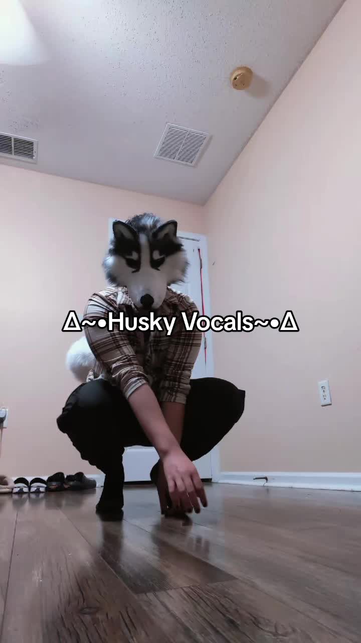 @𓃩[✦ HUSKY ✦ ]𓋹