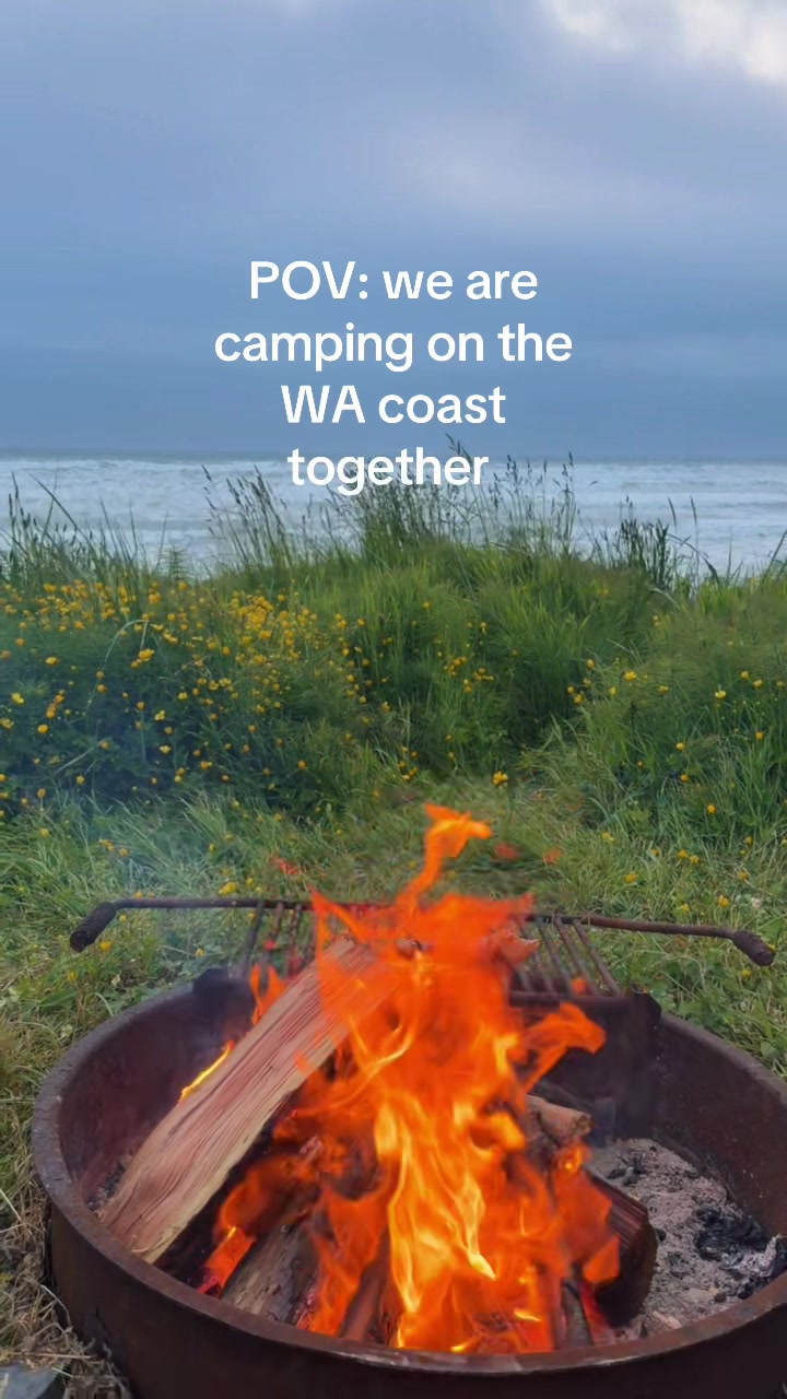 @Bee Bing | Artist | VanLife