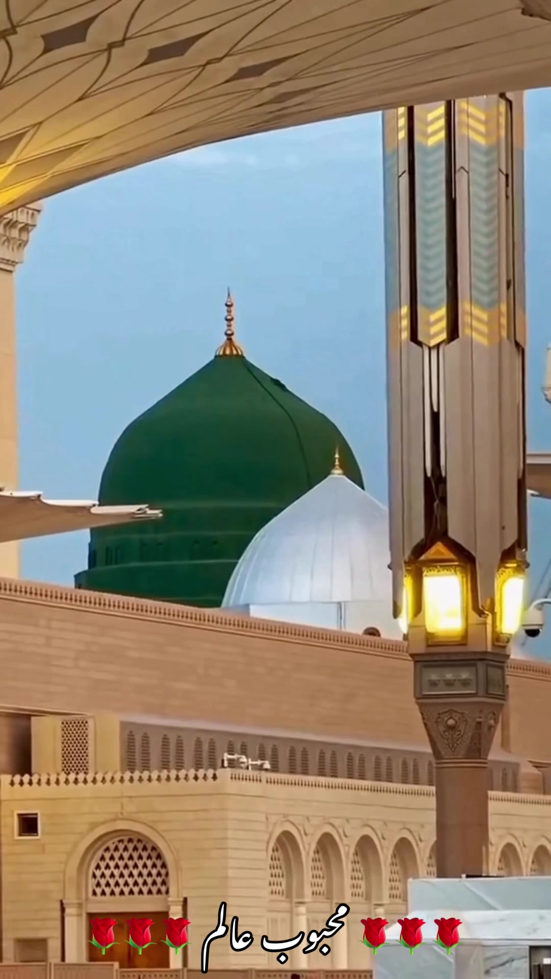 @محبوب عالم