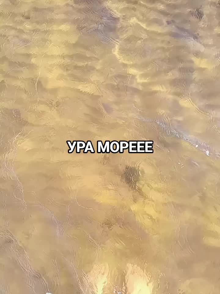 @Кеша 𓃟
