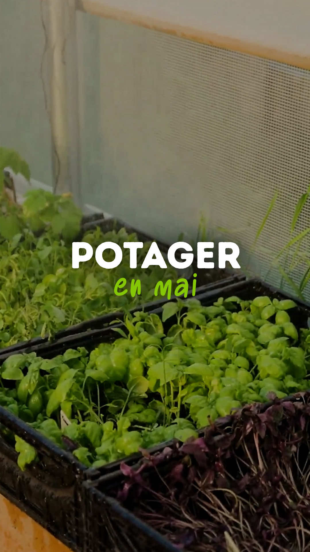 @Goran Le Permaculteur