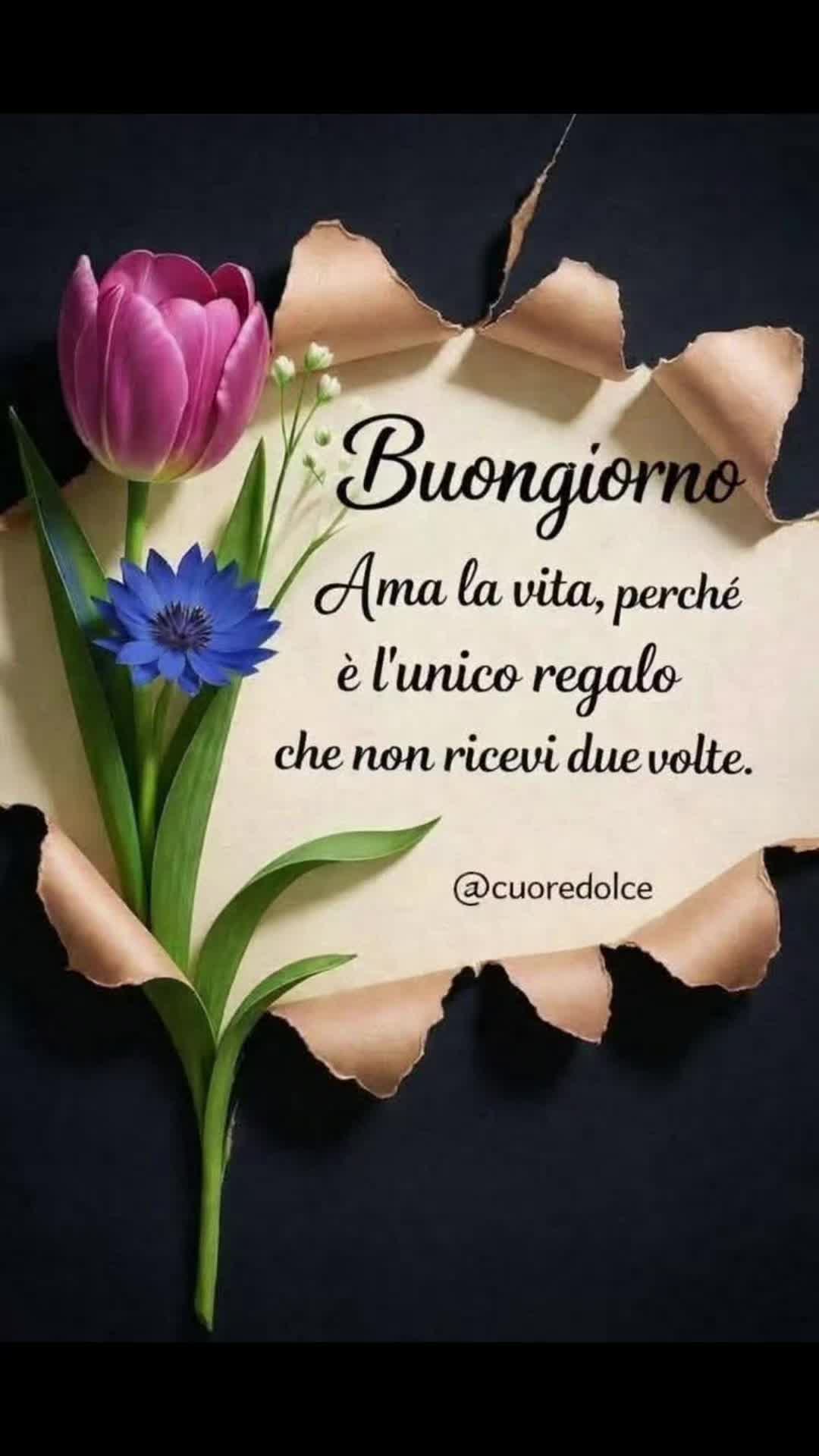 @🌞 Fede