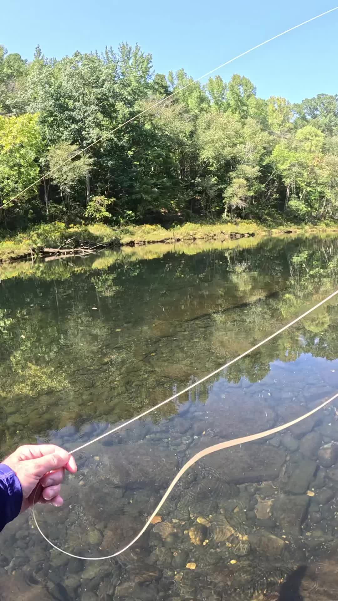 @ellisfishnish