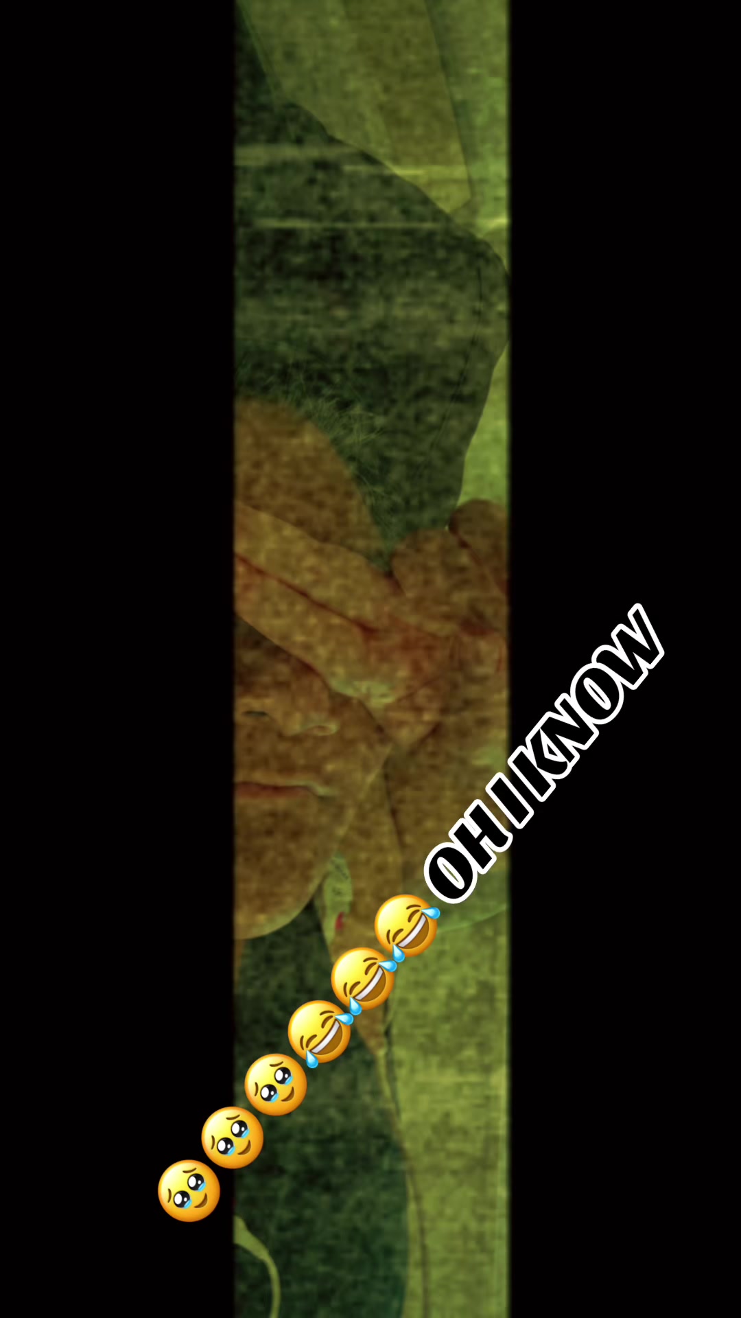 @salmonbelly0713