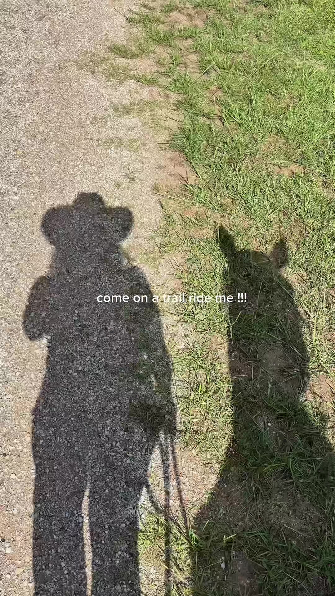 @kelleyannshanks