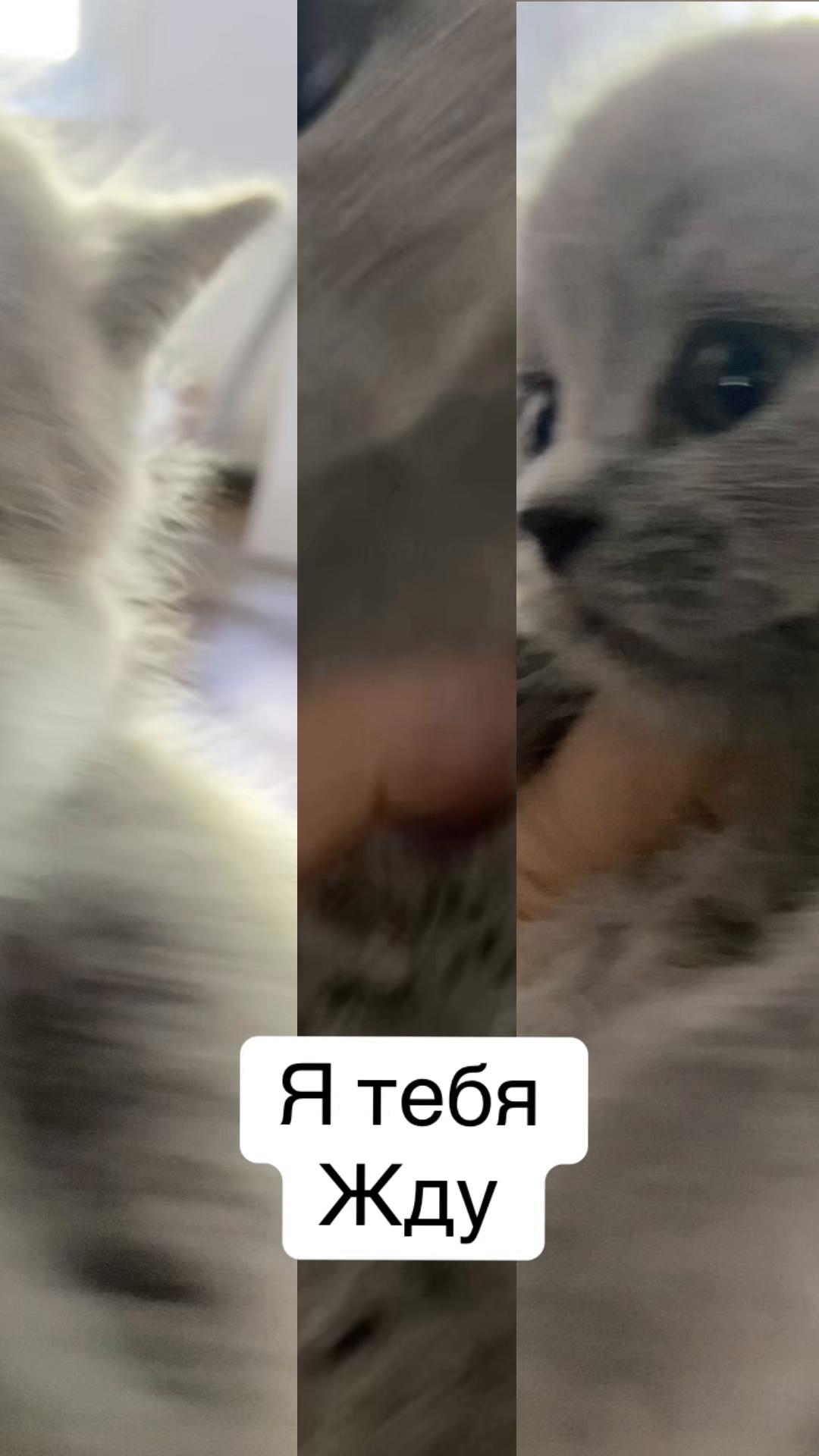 @ВИКУСЯ ЯСНОВИДЯЩАЯ