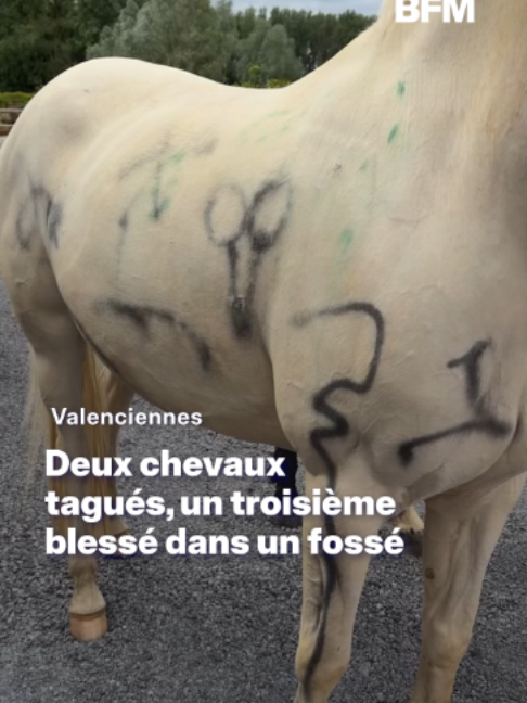 @BFMTV