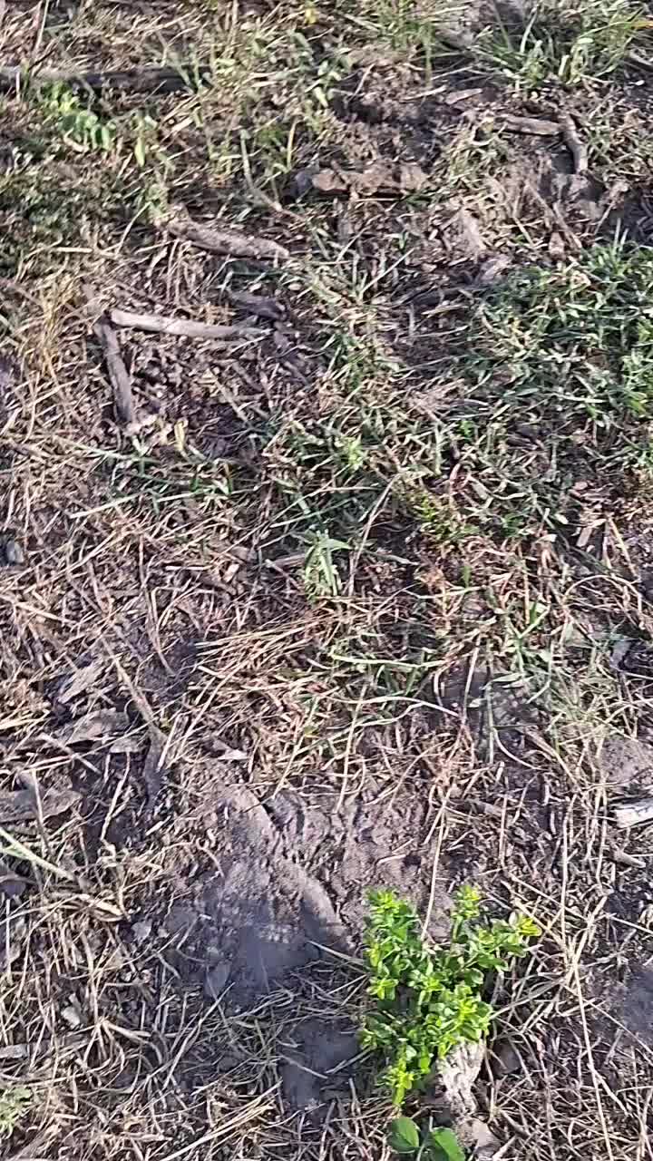 @mousie3362