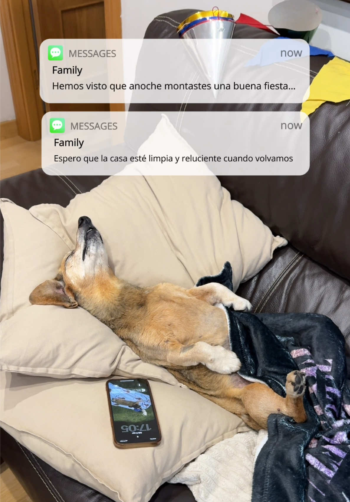 @Lucas The Dog