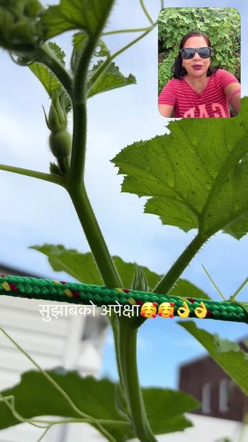 @userbaralpaudel