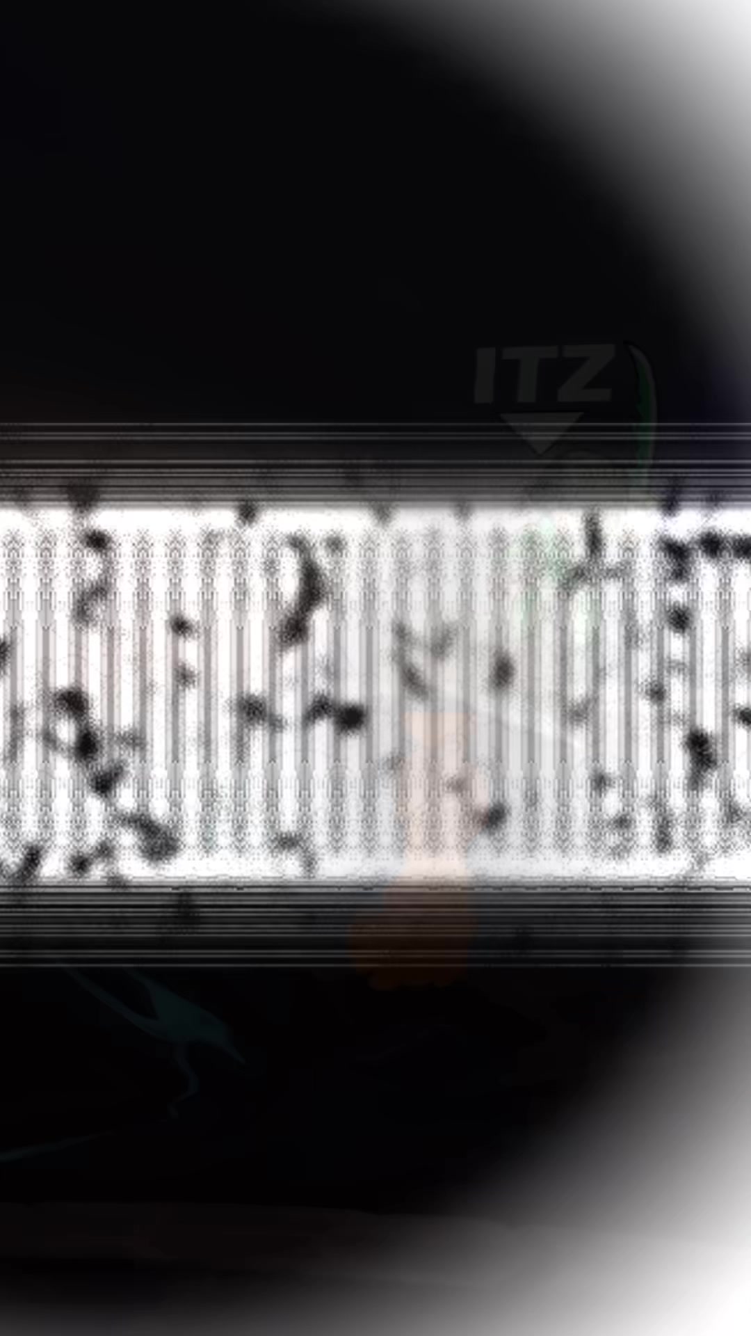 @thezt4rchild._.3