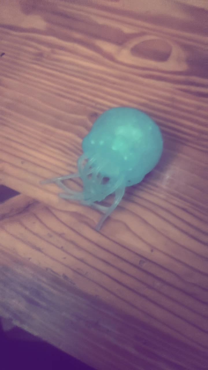@&bull;一⃝⃤Ela一⃝⃤&bull;