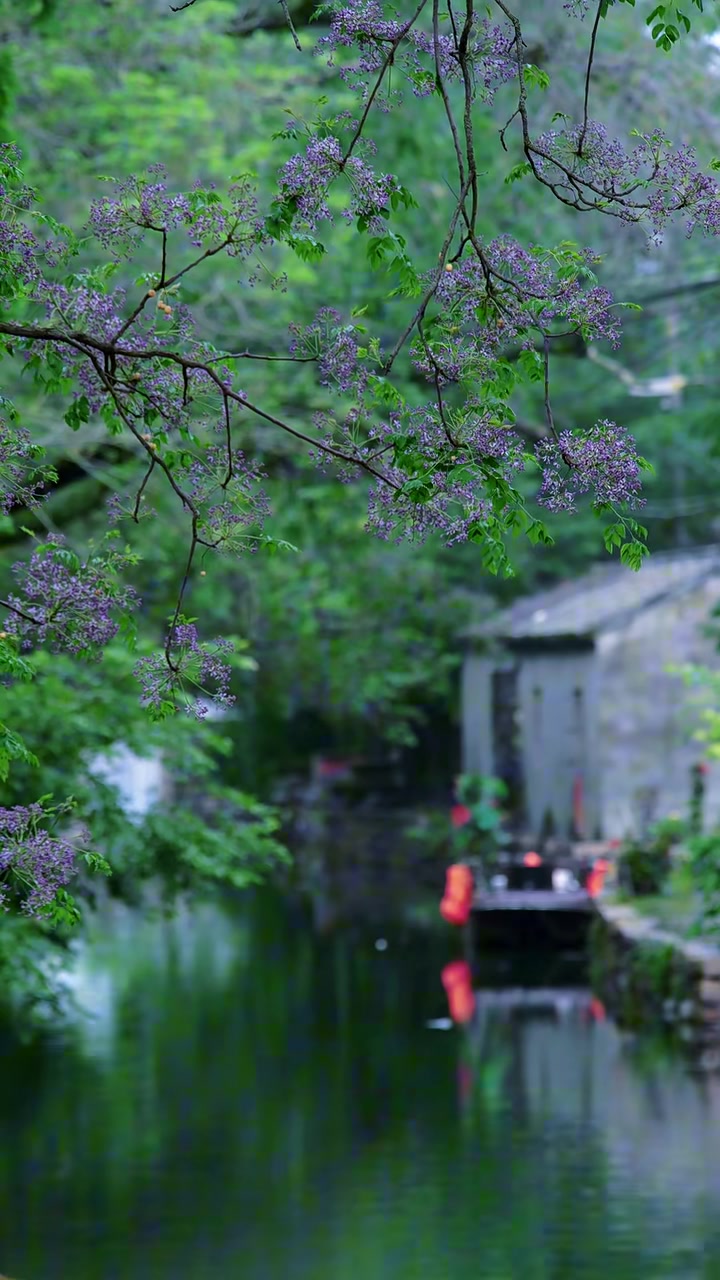 @In h&igrave;nh l&ecirc;n &aacute;o