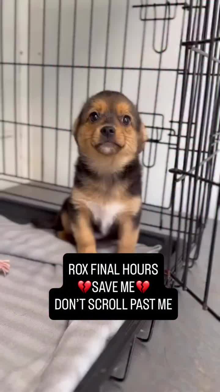 @mistermnn