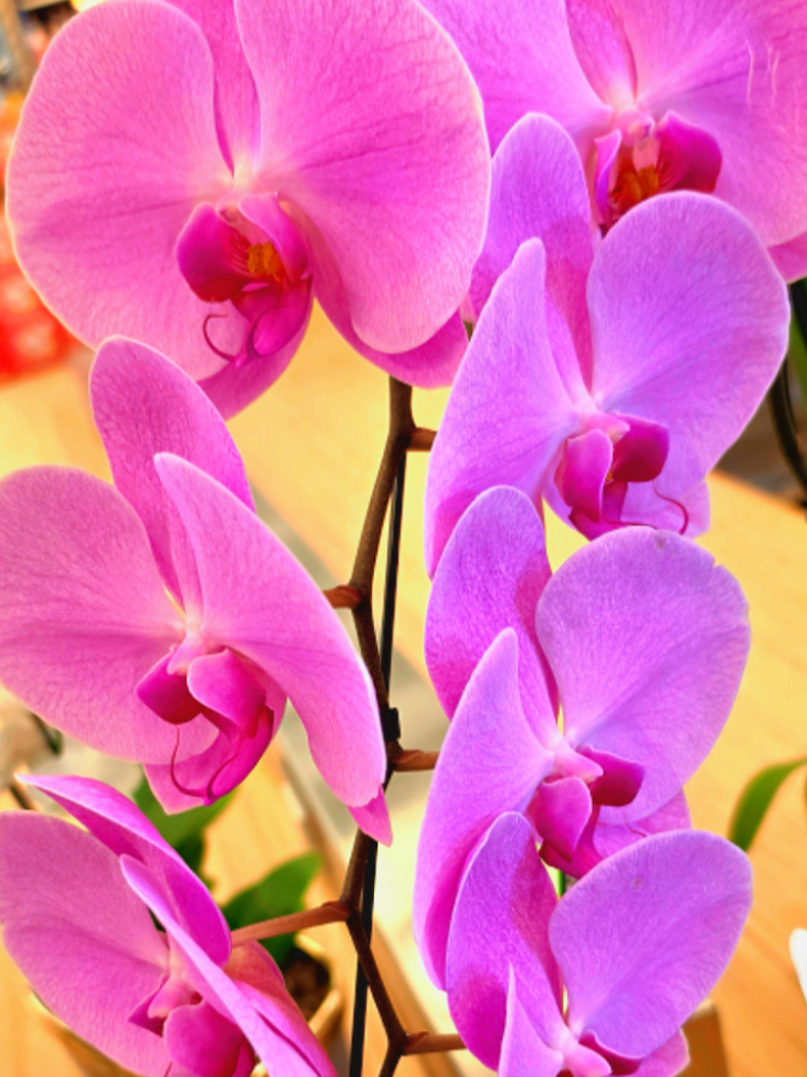 @ChiranjibiR