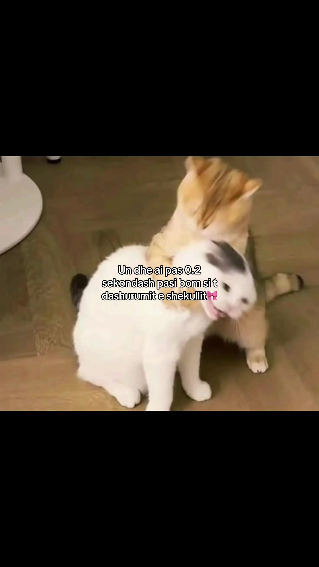 @𝓛’🦢