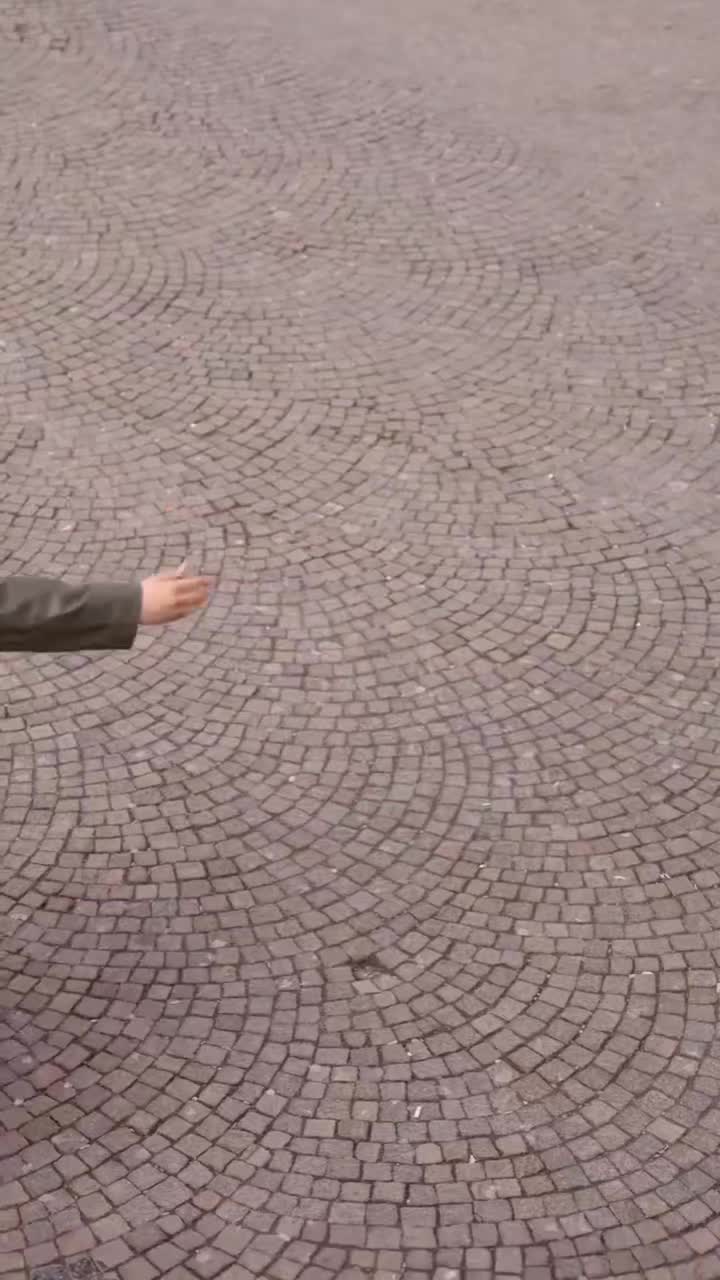 @Elvira Gertzik