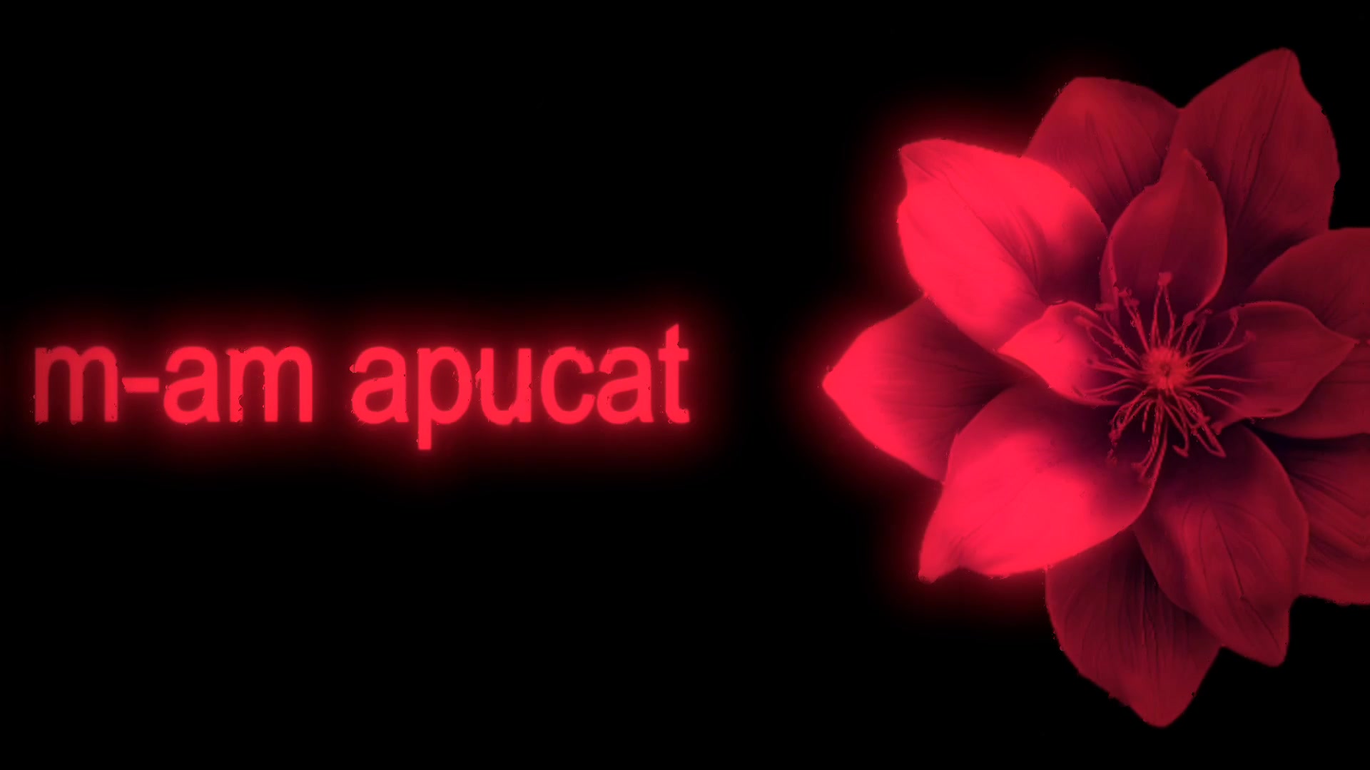 @𝐬𝐩𝐞𝐞𝐝 𝐥𝐲𝐫𝐢𝐜𝐬