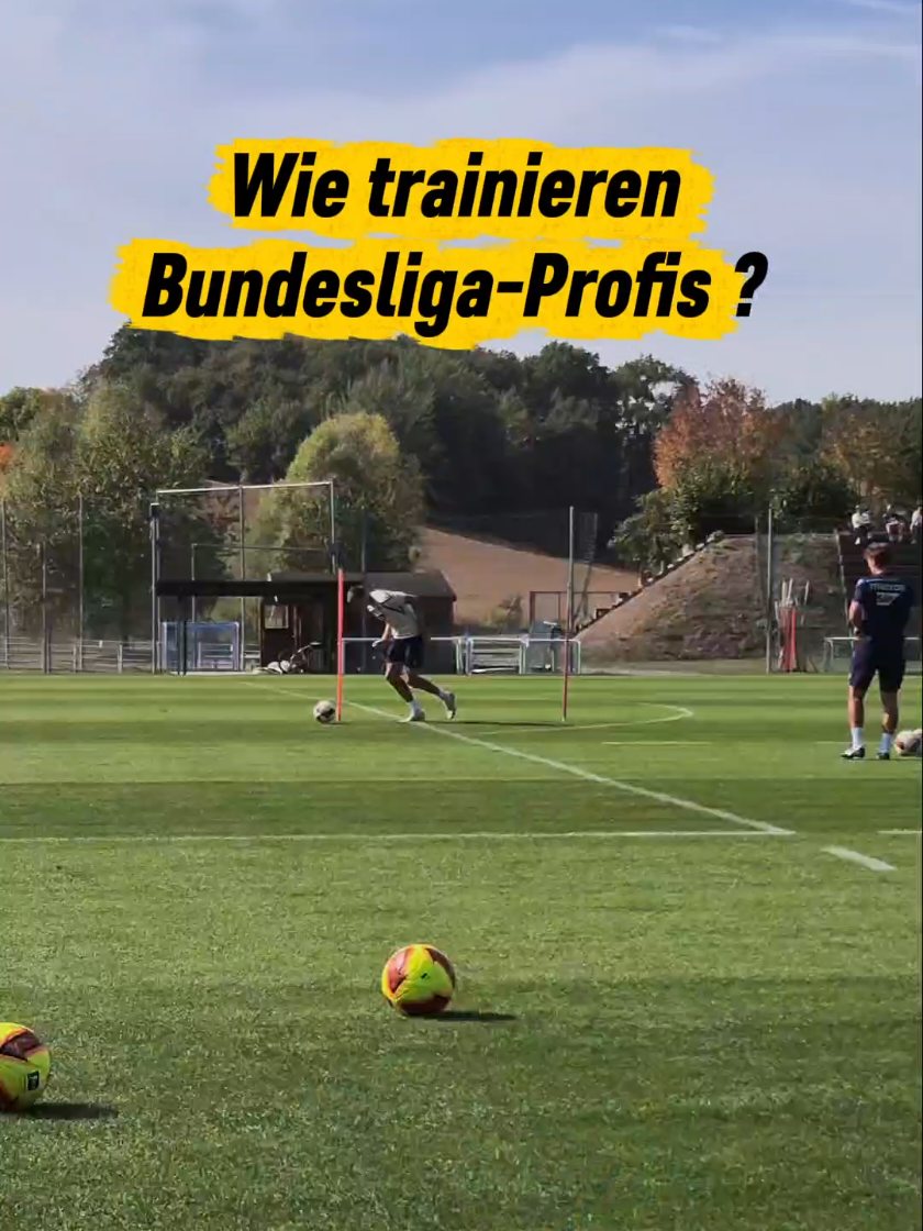 @Balljunge⚽️