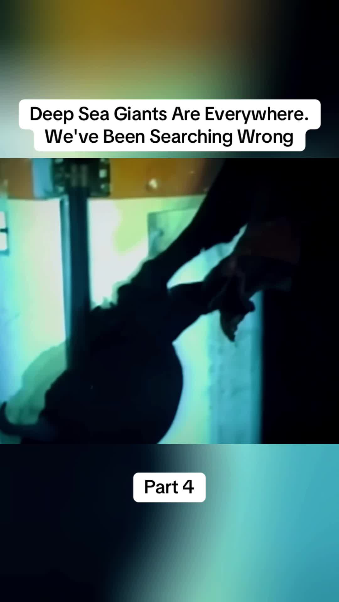 @DonkiGeo