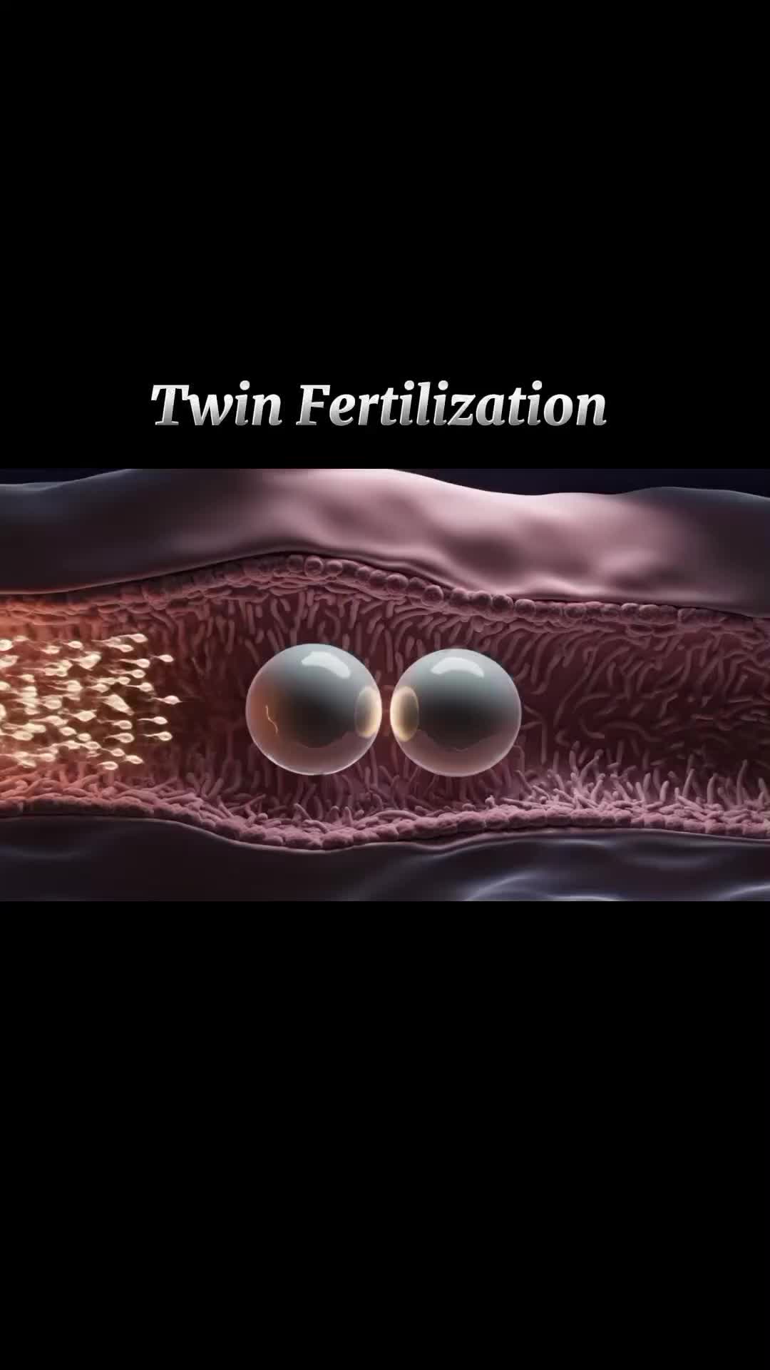 @Pregnancy Info