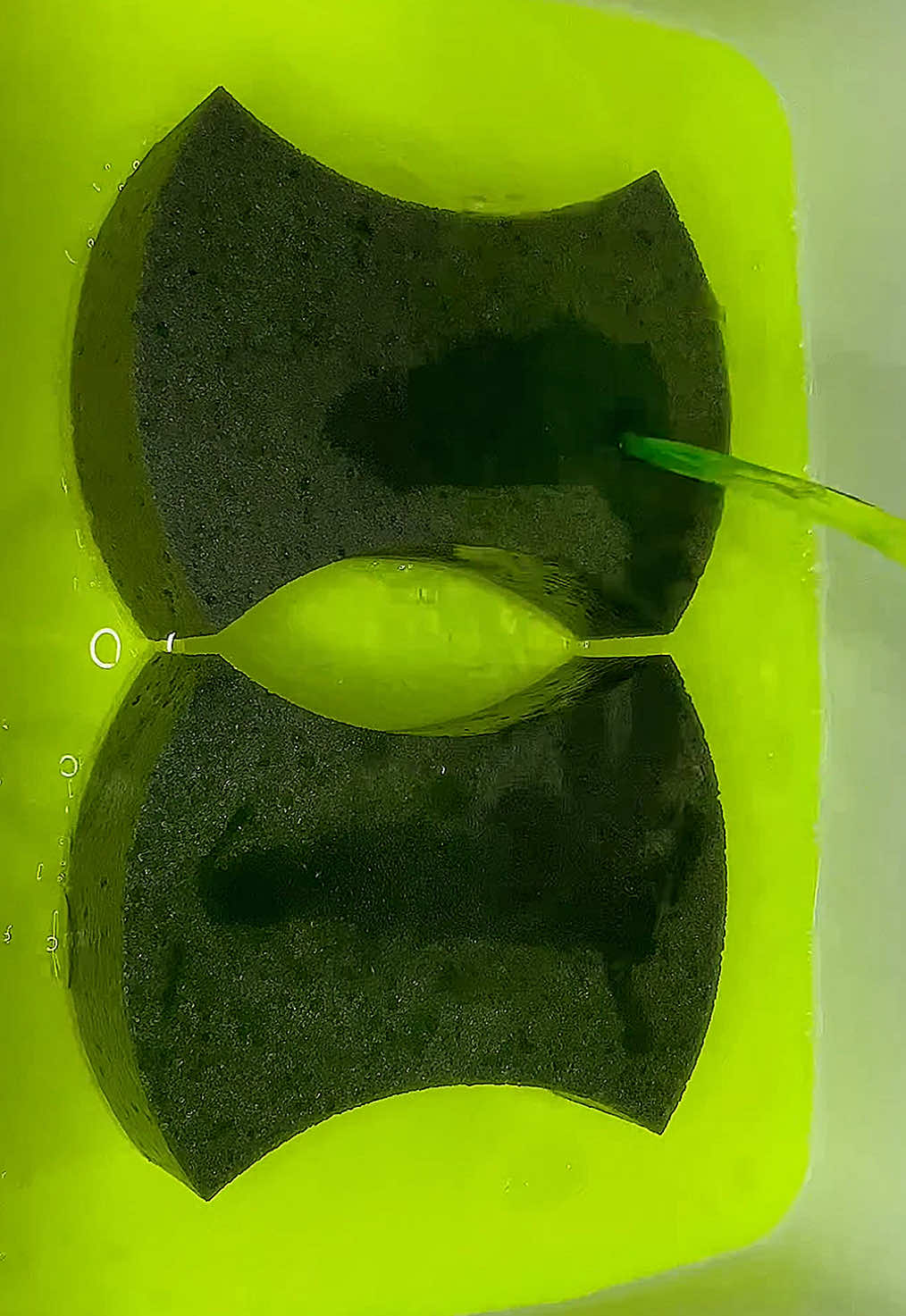 @HD Spongetok