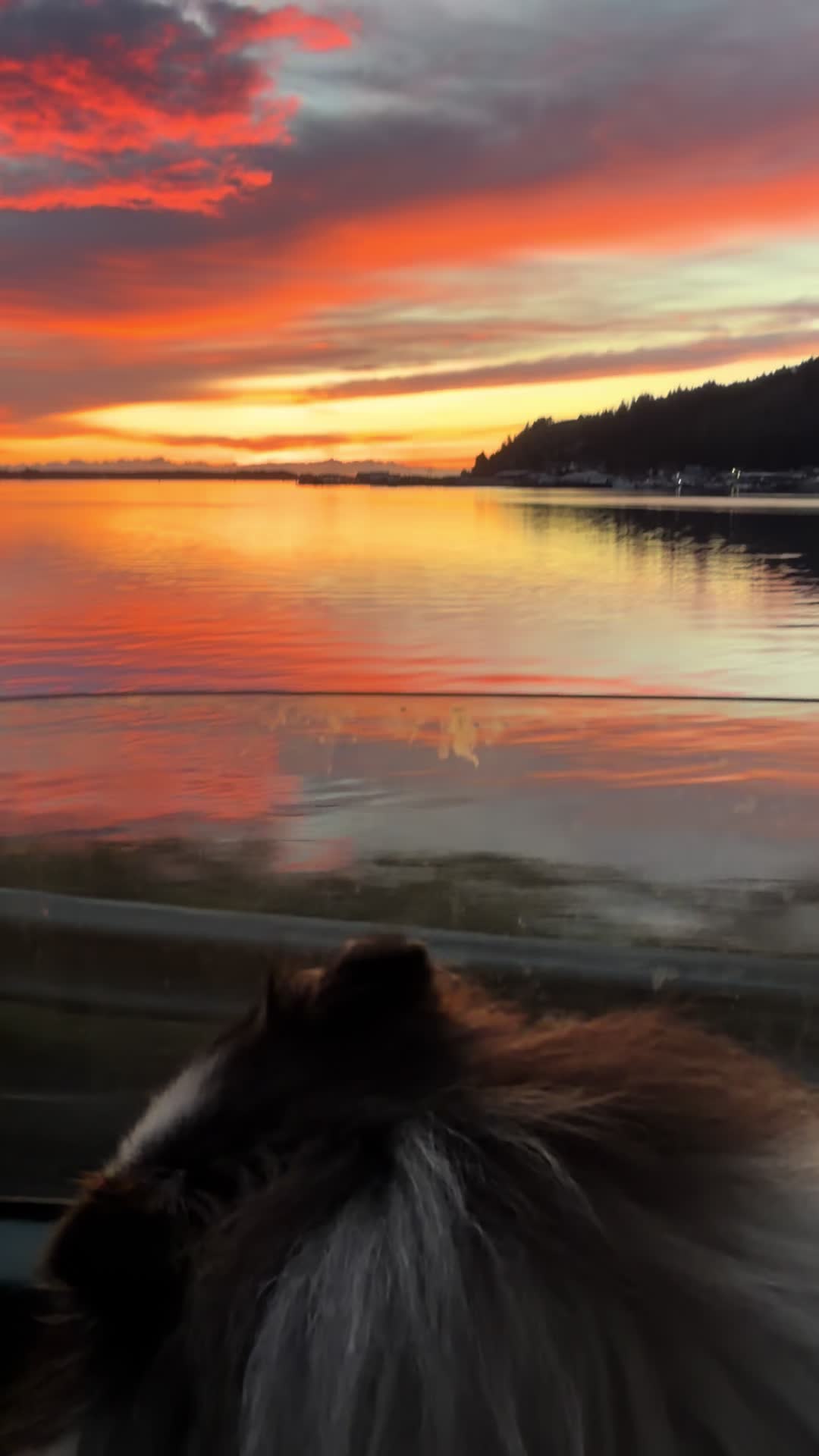 @oregonskyveek