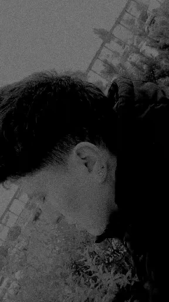 @👑🦁Crazy cano 🦁👑💚